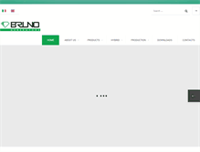Tablet Screenshot of brunogenerators.it